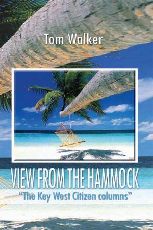 Cover of the book View from the Hammock by Jason John Tyler