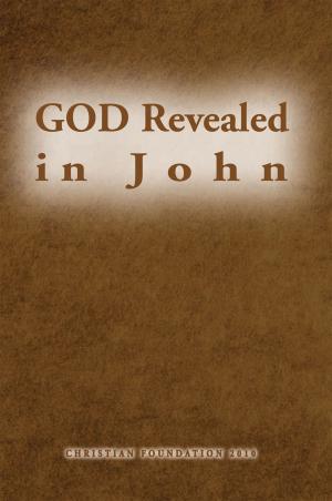 Cover of the book God Revealed in John by David Vincent
