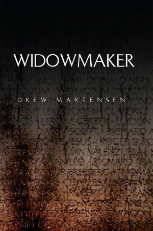 Cover of the book Widowmaker by Shontwel Wells