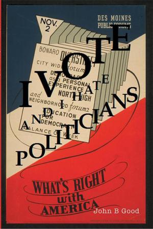 Cover of the book I Vote…And I Hate Politicians by Bernard P. Chamberlain Jr.