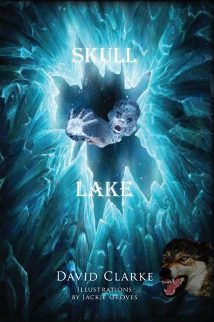 Book cover of Skull Lake