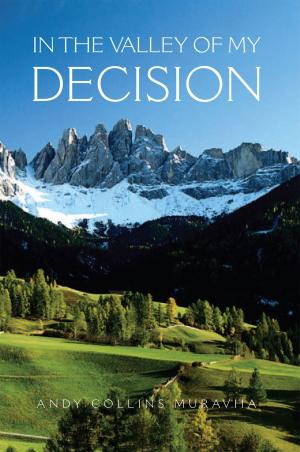 Cover of the book In the Valley of My Decision by Dr Rushna Sulyman