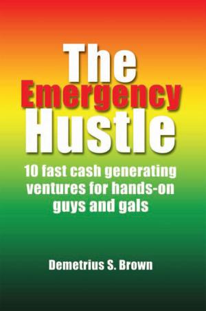 Cover of the book The Emergency Hustle by John Burbridge