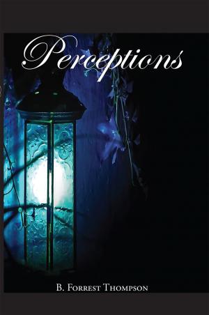 Cover of the book Perceptions by Savannah Rain