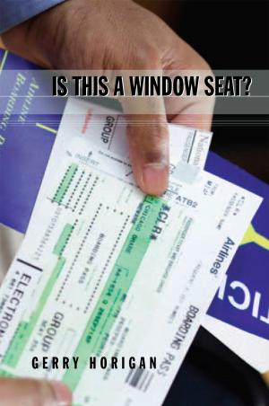 Cover of the book Is This a Window Seat? by Werner Blignaut