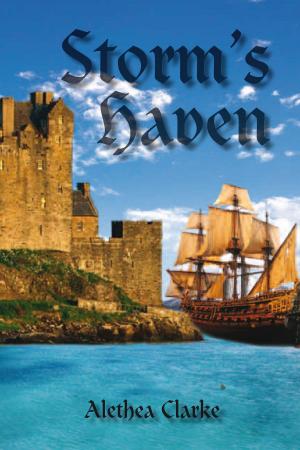 Cover of the book Storm’S Haven by Darlyne Frederick