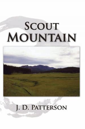 Cover of the book Scout Mountain by Mary Heyn