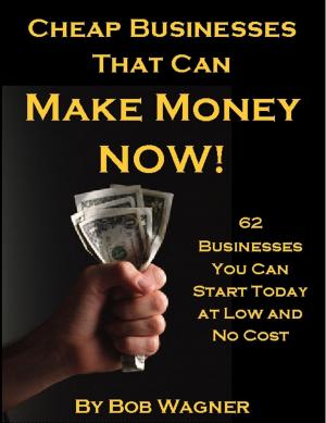 Cover of Cheap Businesses That Can Make Money Now!