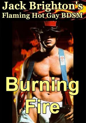 Book cover of Burning Fire