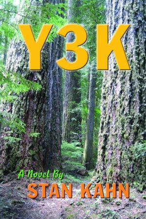 Cover of the book Y3K by Diana Flame