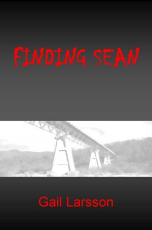 bigCover of the book Finding Sean by 