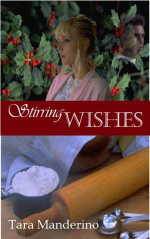 Book cover of Stirring Wishes