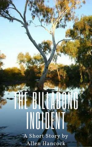 bigCover of the book The Billabong Incident by 