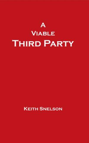 Cover of the book A Viable Third Party by George L. Andersen