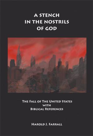 Cover of the book A Stench in the Nostrils of God: The Fall of The United States with Biblical References by Jocko