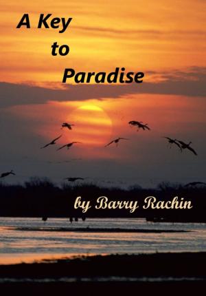 Book cover of A Key to Paradise