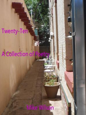 bigCover of the book Twenty-Ten by 