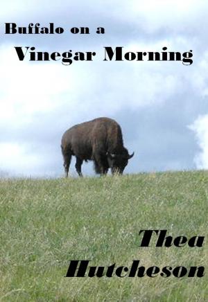 Book cover of Buffalo on a Vinegar Morning
