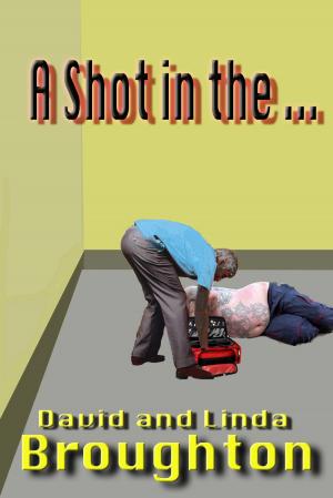 Cover of A Shot In The ...
