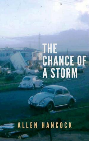 bigCover of the book The Chance of a Storm by 