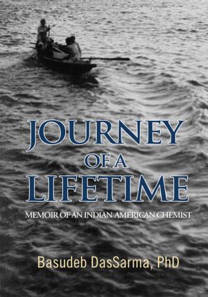 Cover of the book Journey of a Lifetime by Karen Manuelita Valandra