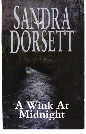 Book cover of A Wink at Midnight