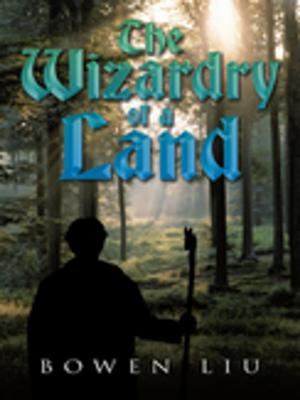 Cover of the book The Wizardry of a Land by Despina