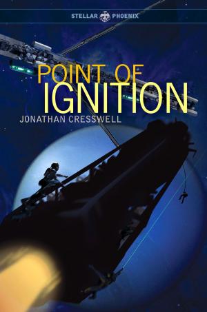 Cover of the book Point of Ignition by Matthew Hughes