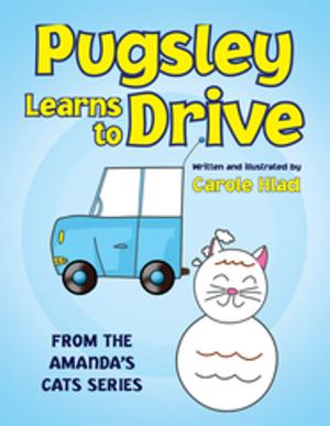 Book cover of Pugsley Learns to Drive
