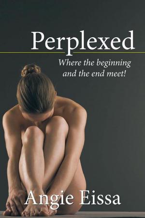 Cover of the book Perplexed by Charles Beagley, Accentia Design