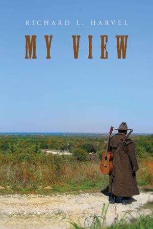 Cover of the book My View by James VanAntwerp