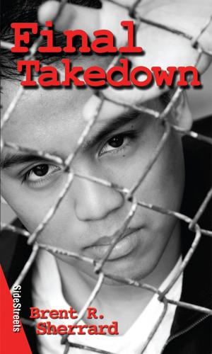 Cover of the book Final Takedown by Carol Moreira