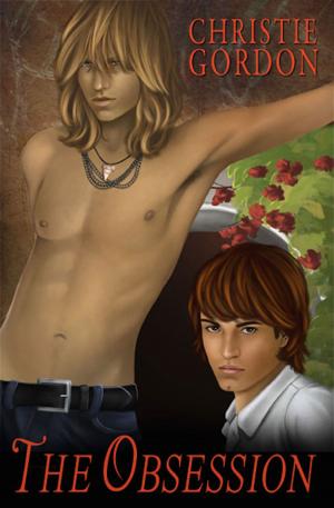 Cover of the book The Obsession by Fawn Lowery