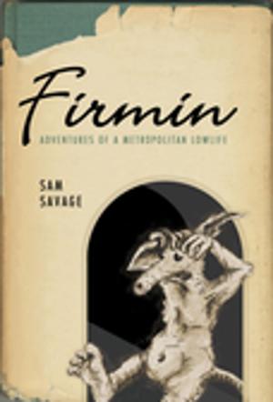 Cover of the book Firmin by Kate Bernheimer