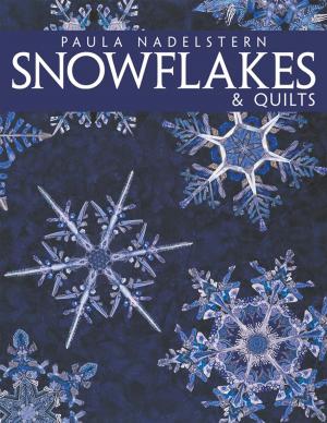 Cover of the book Snowflakes & Quilts by Paula Nadelstern