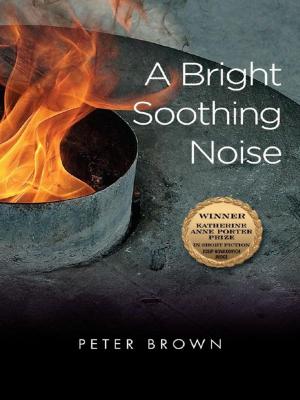 Cover of the book A Bright Soothing Noise by Meagan Cass