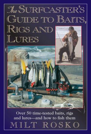 bigCover of the book Surfcaster's Guide To Baits Rigs & Lures by 