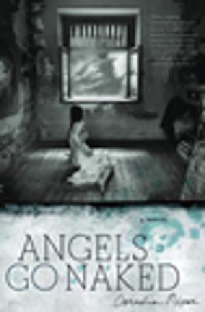 Cover of the book Angels Go Naked by Todd Robert Petersen