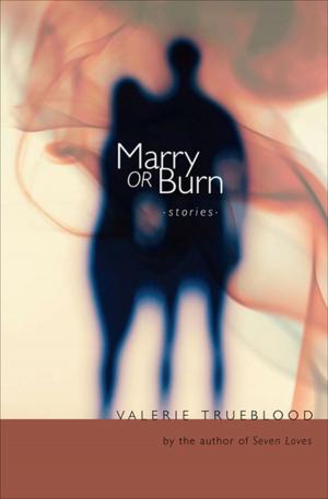 Cover of the book Marry or Burn by Sarah Moss
