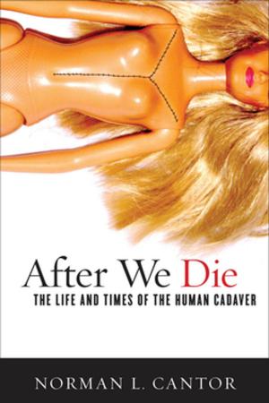Cover of the book After We Die by Patrick Porter