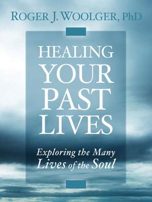 Cover of the book Healing Your Past Lives by Fred Kofman