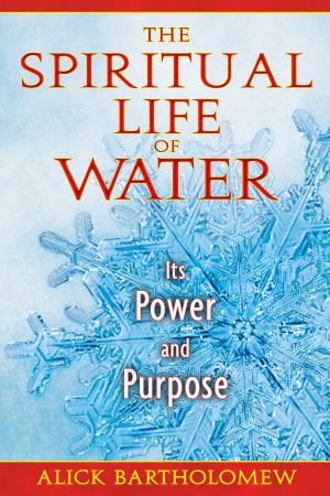 Cover of the book The Spiritual Life of Water by Anna Gallotti, Maryvonne Lorenzen