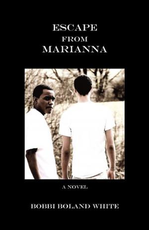Cover of the book Escape from Marianna by Amelia V. Rogers