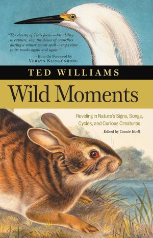 Cover of the book Wild Moments by Kirsten K. Shockey, Christopher Shockey