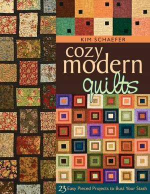 Cover of the book Cozy Modern Quilts: 23 Easy Pieced Projects to Bust Your Stash by Aneela Hoey