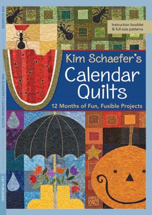 bigCover of the book Kim Schaefer's Calendar Quilts by 