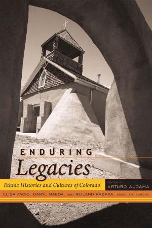 Cover of the book Enduring Legacies by David R. Berman