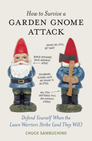 Cover of the book How to Survive a Garden Gnome Attack by Lassal