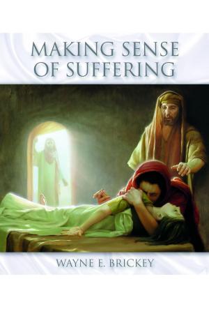 Book cover of Making Sense of Suffering