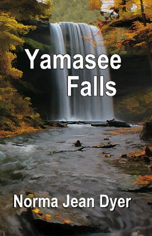 Cover of the book Yamasee Falls by Kathleen Heery, MS RN CCM